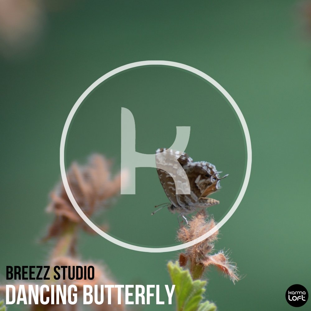 Dancing Butterfly / EP 2017